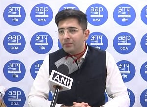 AAP's Raghav Chadha made Punjab unit's co-incharge
