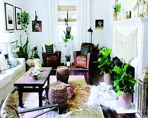 All things green