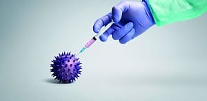 Antibodies that lead to passive Covid-19 vaccine identified