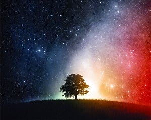 Astroturf | Truth is simple, spontaneous