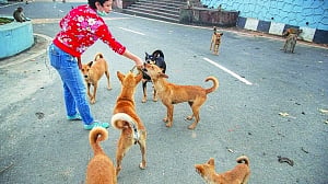 Being humane