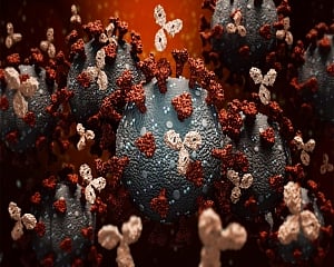 Covid antibodies detected up to 3 months after infection: Study
