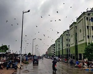 Cyclone Nivar to cross coast tonight or on Thursday morning: IMD