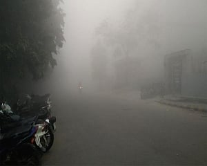 Dense fog in parts of Delhi, 'cold wave' predicted for 2 days: IMD