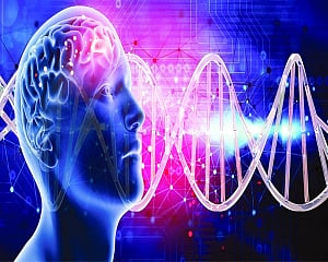 Dockyard : Your brain seeks attention