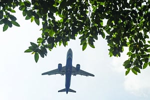 Domestic flights to resume after lockdown, doubt on global ones
