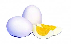 EARTHY IS YOU