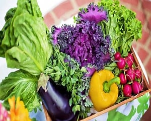 Eating more vegetables will not cure prostate cancer: Study