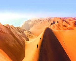 Fairy Circles: A mystery surrounding Namib desert