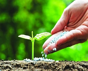 Fertiliser DBT an illusion