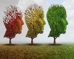 Gene linked to dementia also associated with severe COVID-19 risk: Study