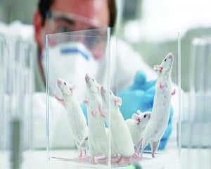 Hantavirus truth