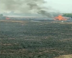IAF Mig-29 crashes in Punjab's Nawanshahr, pilot ejects safely
