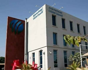 ICC planning to increase number of teams in T20 World Cup to 20: Report