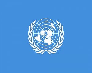 India's economy could prove to be 'most resilient' in subregion over long term: UN