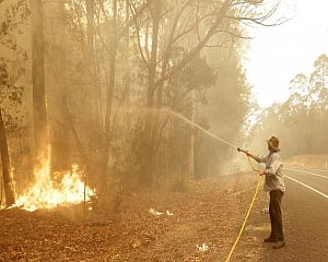 Indian eatery provides free meals to Aus bushfire victims