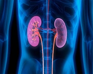 Indians at higher kidney disease risk due to air pollution