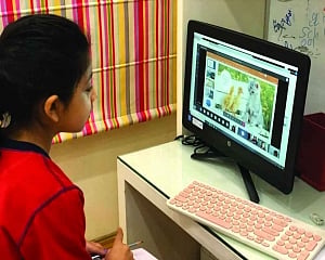 Learning in times of crisis