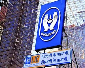 LIC thrives amid crisis