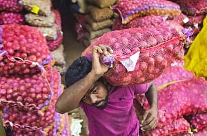 Onion wars, again