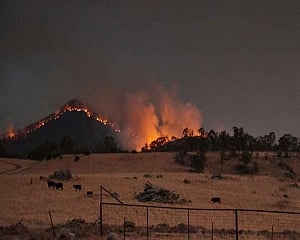 Rainstorms douse bushfires across eastern Australia