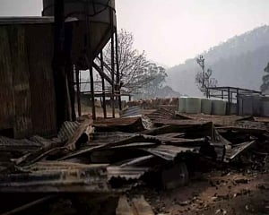 Relief as rain falls over Australian bushfires