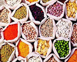Seeding a new market