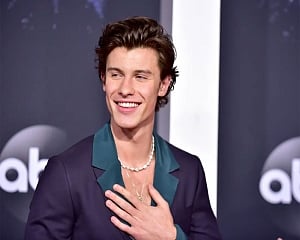 Shawn Mendes donates $175,000 to combat coronavirus