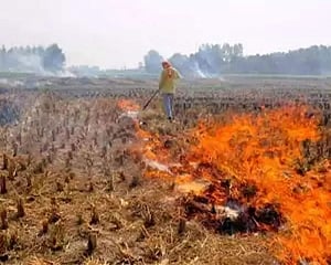 Staying in denial will not help, Kejriwal to Javadekar on stubble burning
