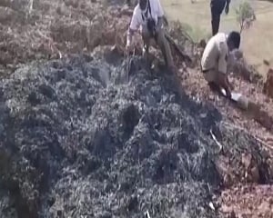 Temple priest dies after being set on fire over land dispute in Rajasthan
