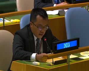 Terrorism, clandestine nuclear trade Pak's 'only crowning glory' for 70 years: India at UN
