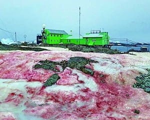 The earth is bleeding