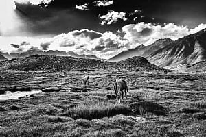 Through a monochromatic lens