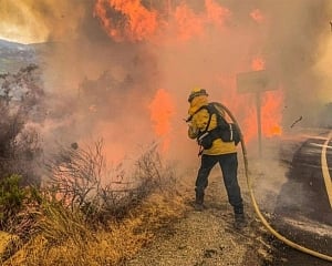 US: Winds a worry as death toll reaches 35 from West Coast fires