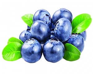 Warmfoods