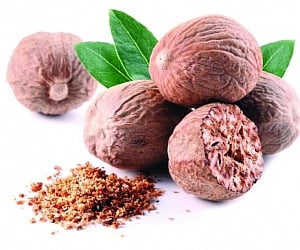 Warmfoods