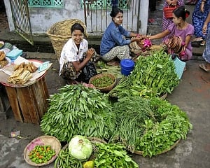 WPI inflation rises to 3.1 pc in January