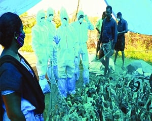 12 bird flu epicentres  in 5 States identified
