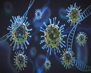 2 cases of Omicron variant detected through INSACOG in Karnataka, says govt