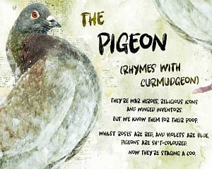 Agony Ant vs Pigeons