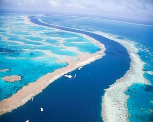 Australia avoids UNESCO downgrade of Great Barrier Reef