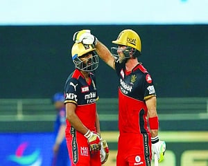 Bharat gives RCB seven-wicket win