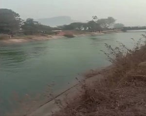 MP: 37 dead as bus falls into canal; rescue ops still on