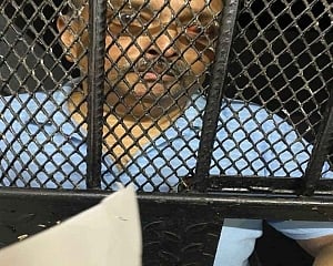 Choksi denied bail by Dominica magistrate: Local media