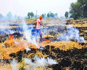 Clearing learning the air around Delhi’s smog