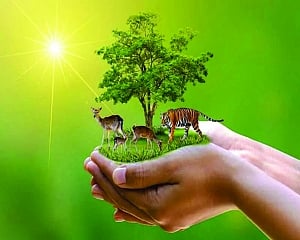 Conserve your future