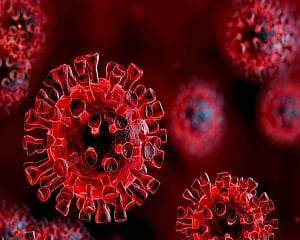 Covid antibody that protects against broad range of variants identified