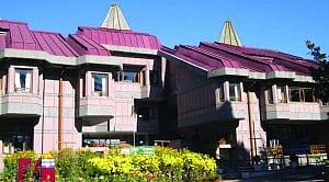 Did India err in reposing too much faith in IAS?