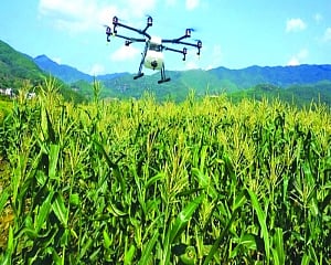 Drones to assess crop yield  for Fasal Bima settlements