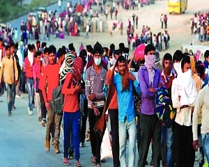 Economy opens but joblessness still rises